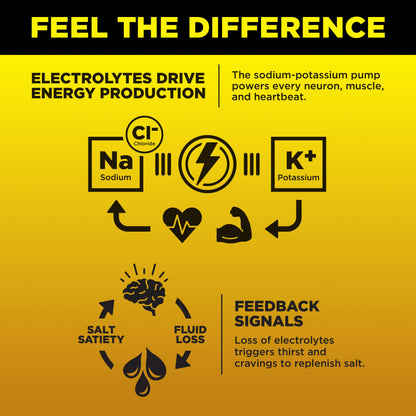 LMNT Zero-Sugar Electrolytes