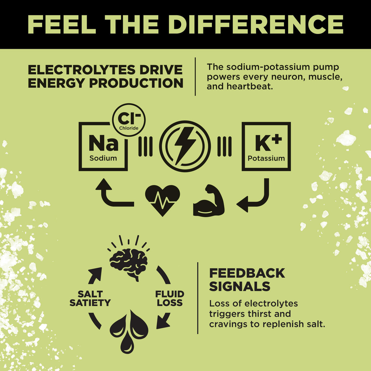 LMNT Zero-Sugar Electrolytes