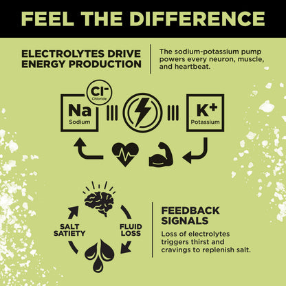 LMNT Zero-Sugar Electrolytes